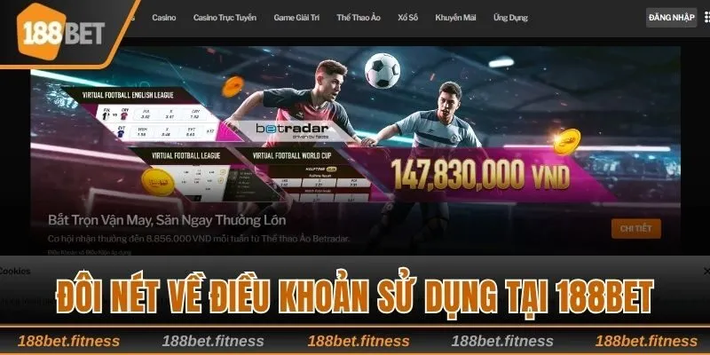 Giới thiệu về điều khoản sử dụng tại 188bet
